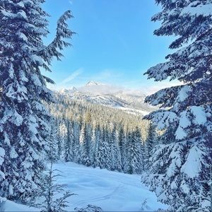 Meet your Posher, Khrystyna